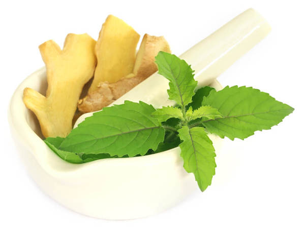 tulsi