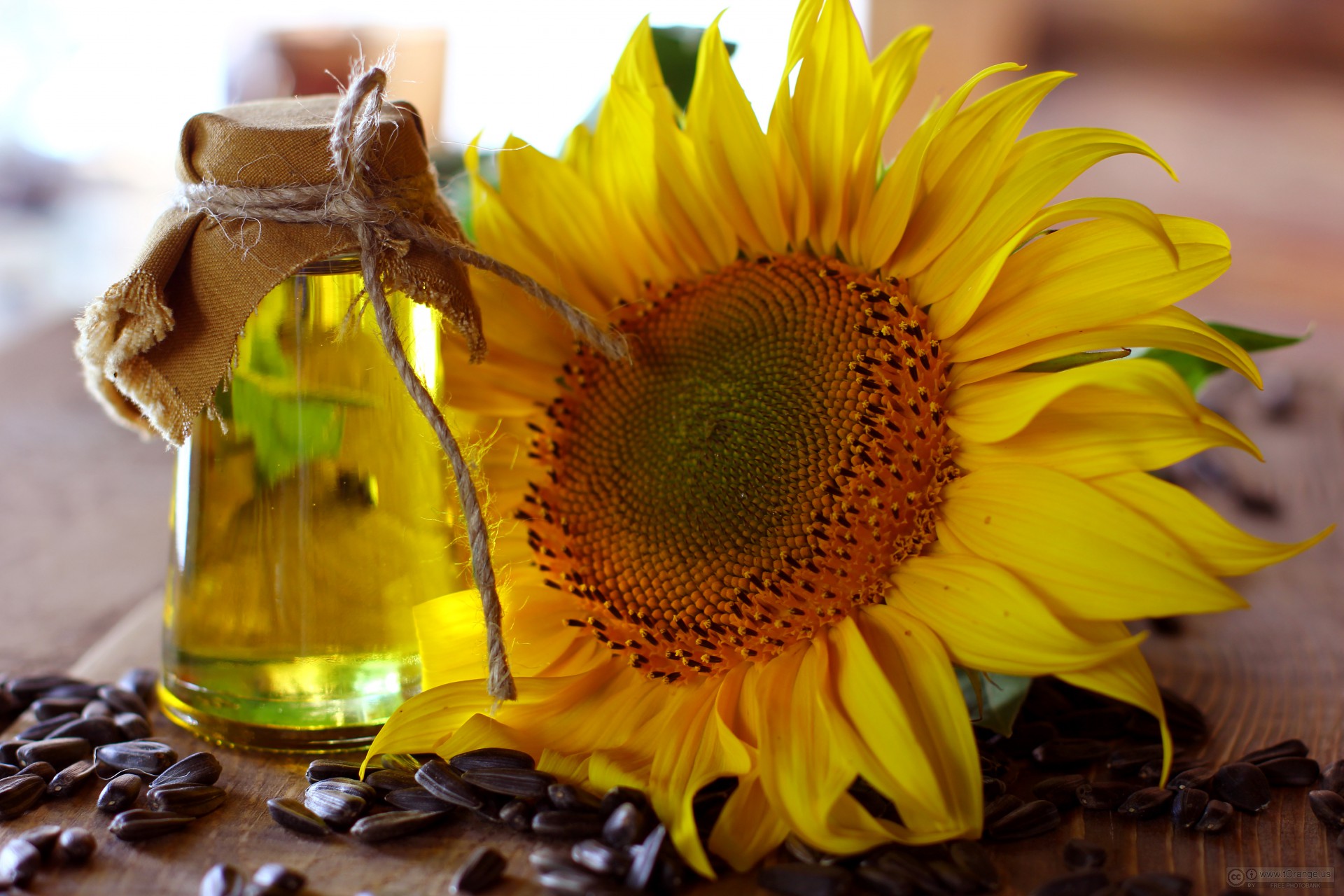 sunflowerseed